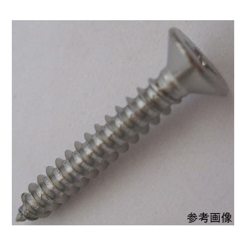 2F261 ステン鉄板木ネジ 6個入