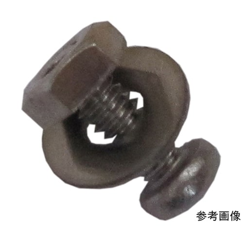 3F427 ステンホームネジ 2個入