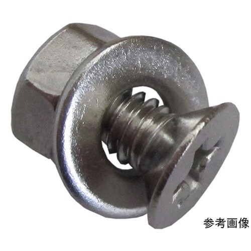 3F521 ステンホームネジ 4個入