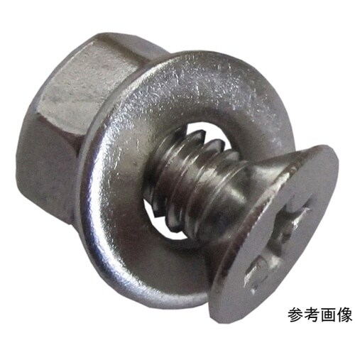 3F528 ステンホームネジ 3個入