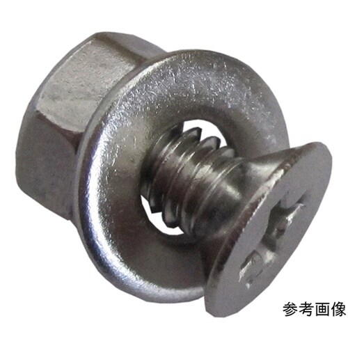 3F529 ステンホームネジ 3個入