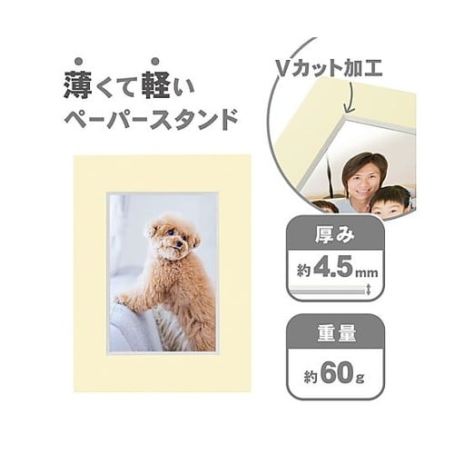 MCPS−LCR ペーパースタンドL