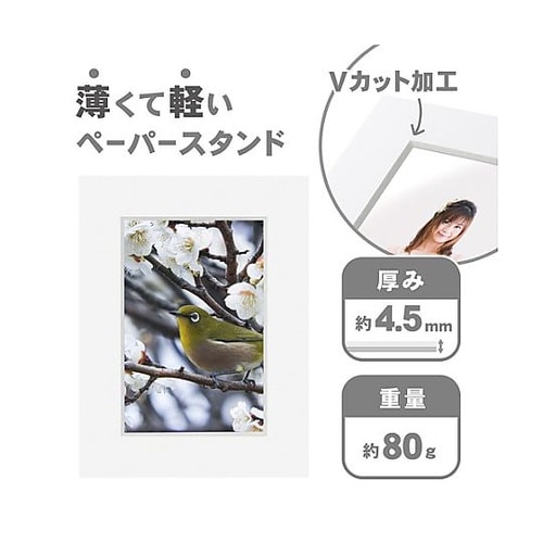 MCPS−PCWT ペーパースタンドKG