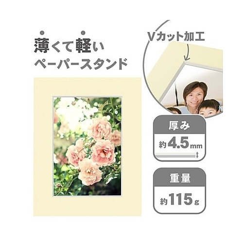 MCPS−2LCR ペーパースタンド2L