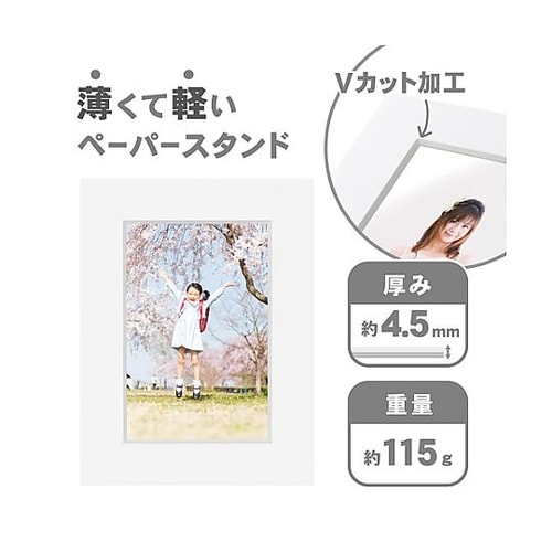 MCPS−2LWT ペーパースタンド2L