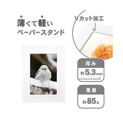 MICPS−PCWT ペーパースタンド