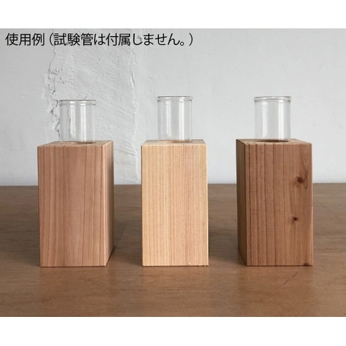 301QL(55−55−100)試験管立