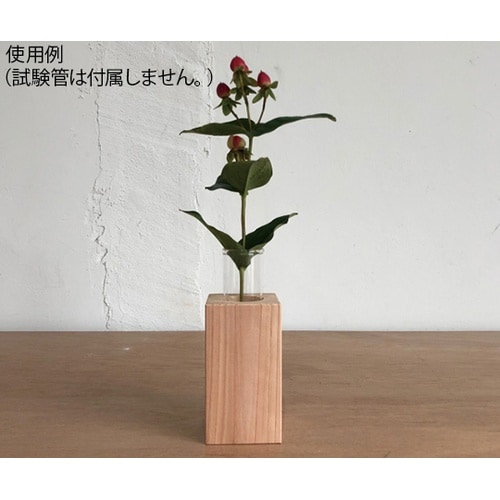 301QL(55−55−100)試験管立