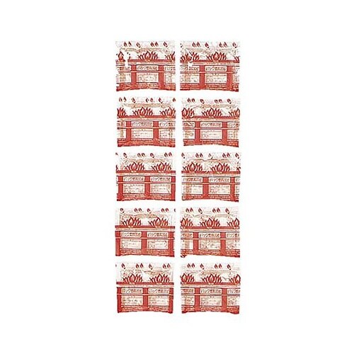 30g 着火剤(10個) EA913L