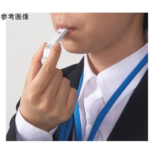 つりさげチャック式名札N−77FR(BK