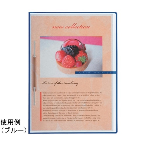 オピニオンファイル No.39C グリーン