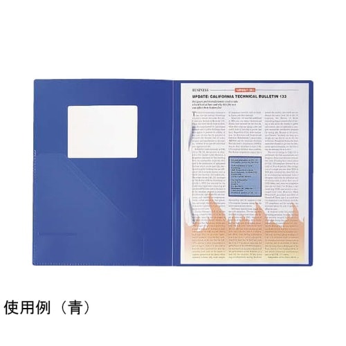 オピニオンファイル No.39 青