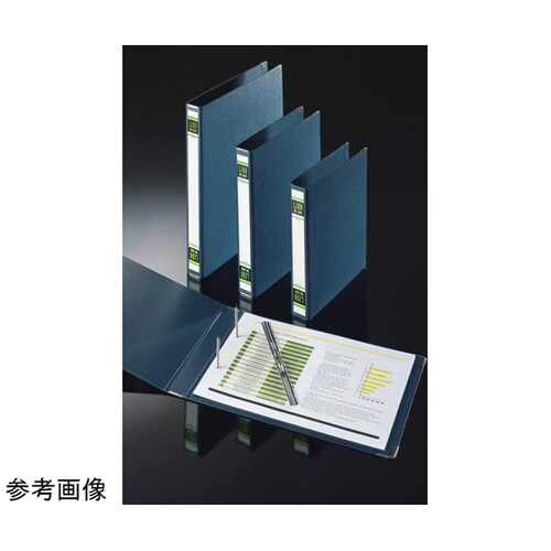 S.Pファイル No.100K B5S