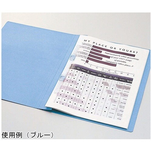 フラットファイルE−file ブルー 1