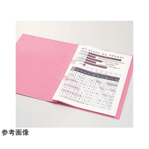 フラットファイルE−file イエロー