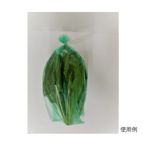 鮮度保持袋 新鮮組 SG−10