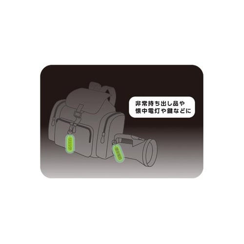 光るキーホルダー名札 蓄光タイプ 1パッ