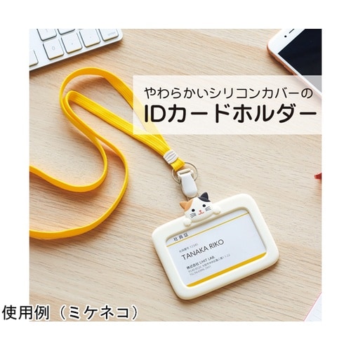 SMARTFIT PuniLabo ID