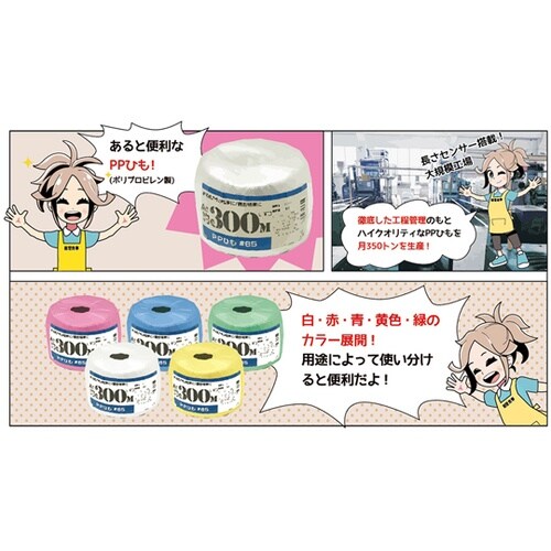 00720025 PP玉巻ひも 黄