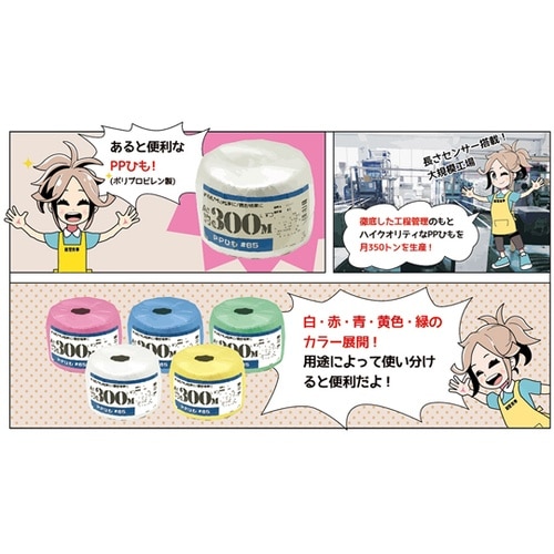 00720010 PP玉巻ひも100m白