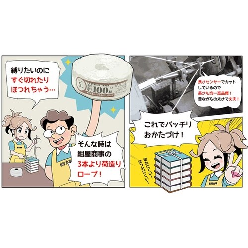 00720015 PP荷造りヨリロープ青