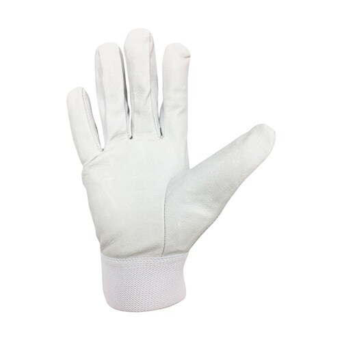 AG510 豚クレスト スパーク