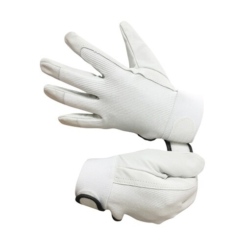 AG510 豚クレスト スパーク