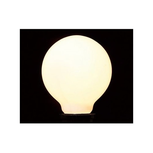 GW100110V57W70L 電球