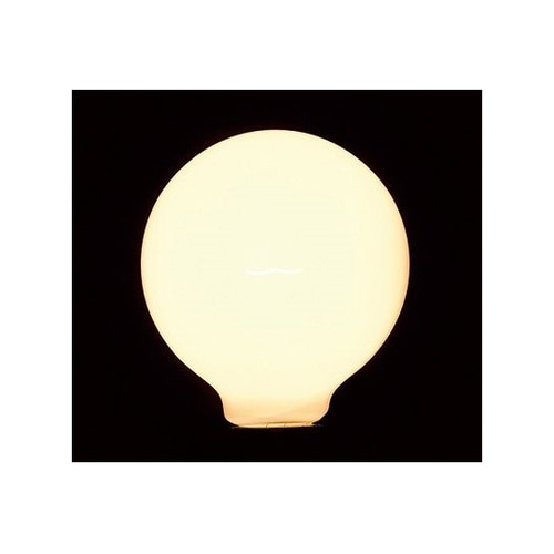 GW100110V57W95L 電球