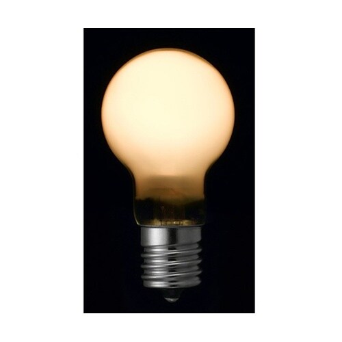 P351736FL2P LEDランプ40