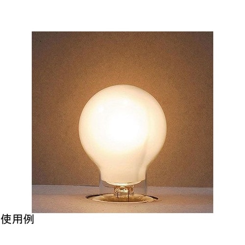 P351754FL ランプ60W形