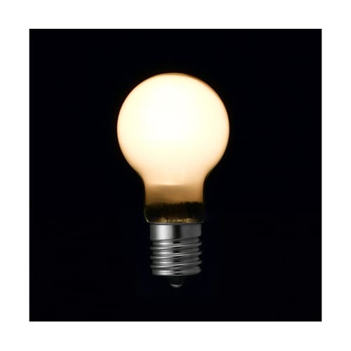 P351754FL2P LEDランプ60