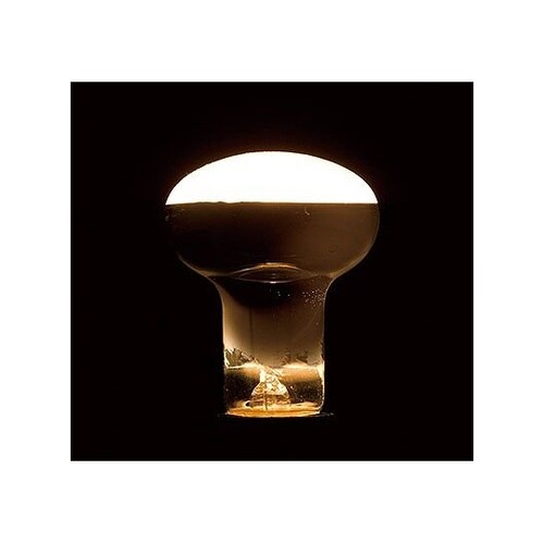 RF100110V38WL 電球40W形