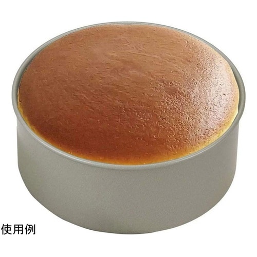 #000DL6100 ホールケーキ型