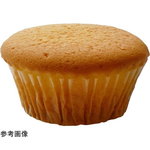 #000DL6176 カップケーキ 9号