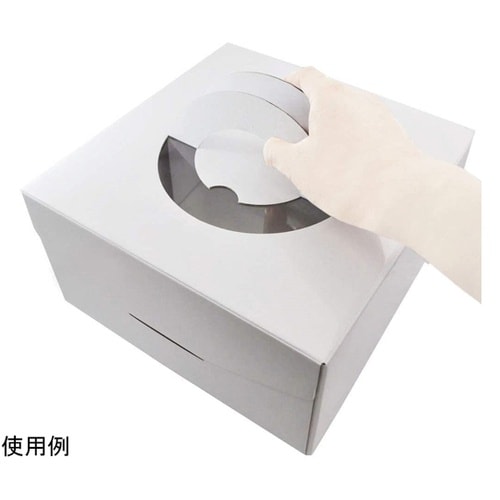 #000DL6341 ケーキボックス