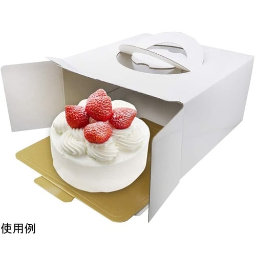 #000DL6341 ケーキボックス