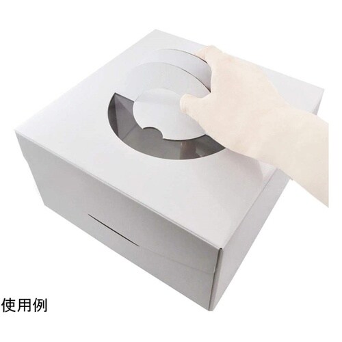 #000DL6342 ケーキボックス