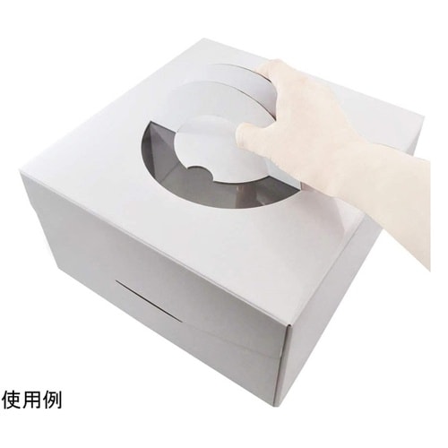 #000DL6343 ケーキボックス