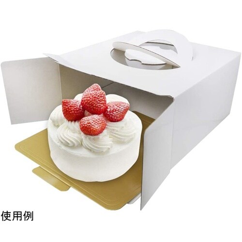 #000DL6343 ケーキボックス