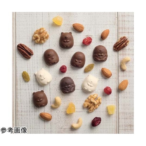 000DN0504 シリコーンチョコ型