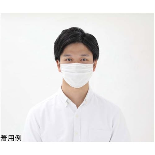 PN−NV65LL プリーツマスク