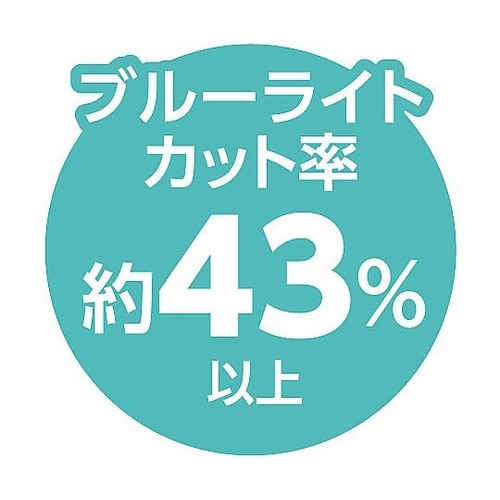 91742 液晶保護フィルム 11.6型