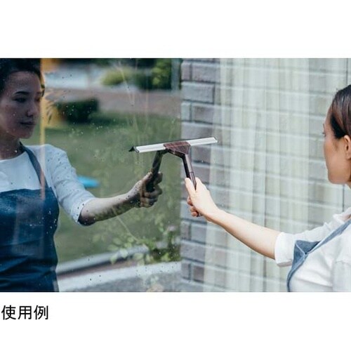 2989.jp+グラススクイジー30EX