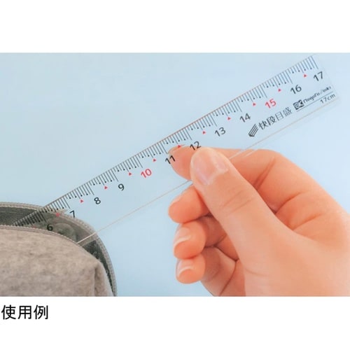 キャッチアップ定規スリム 快段目盛 17