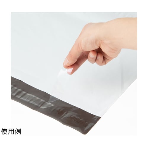 透けないテープ付宅配袋中(A4カタログ冊