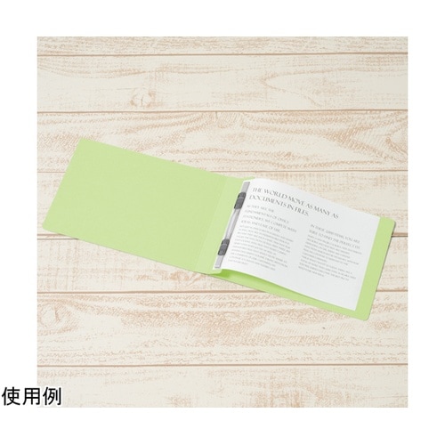 フラットファイル 厚とじ300 A5−E