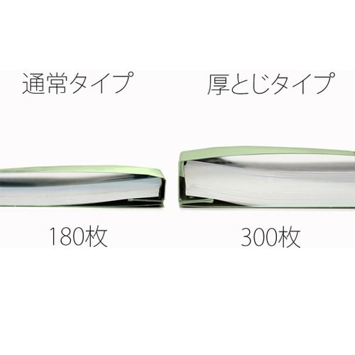 フラットファイル 厚とじ300 A5−E