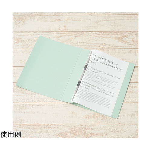 フラットファイル 厚とじ500 A4−S