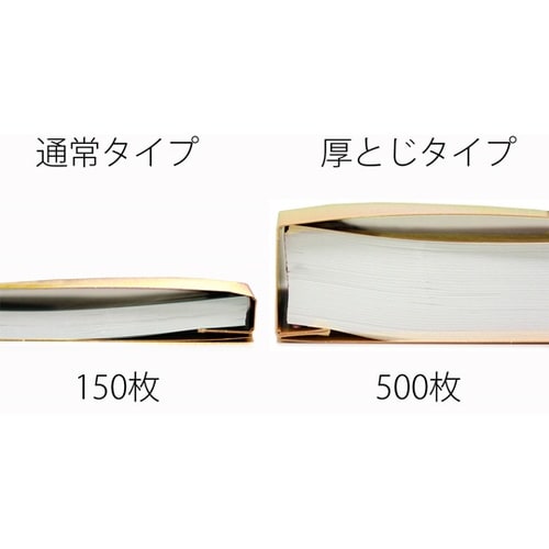 フラットファイル 厚とじ500 A4−E